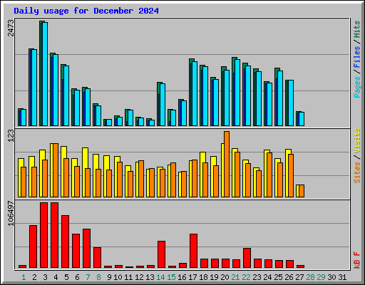 Daily usage for December 2024