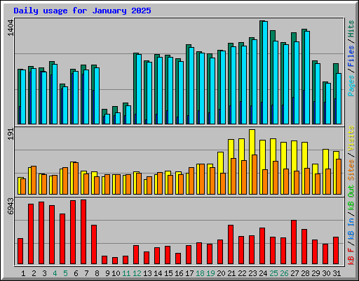 Daily usage for January 2025