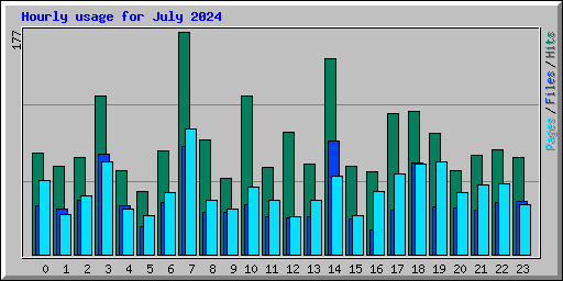 Hourly usage for July 2024