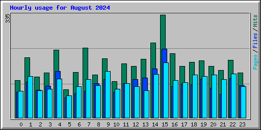 Hourly usage for August 2024