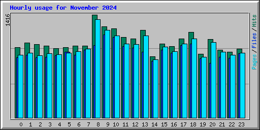 Hourly usage for November 2024