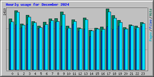 Hourly usage for December 2024