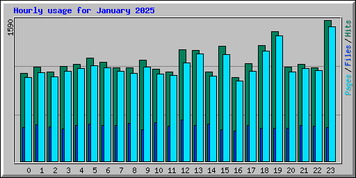 Hourly usage for January 2025