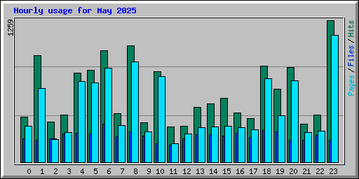 Hourly usage for May 2025