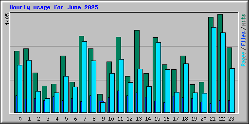 Hourly usage for June 2025