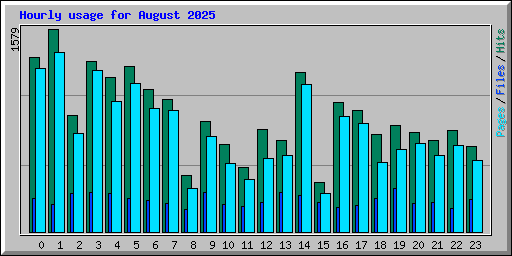 Hourly usage for August 2025