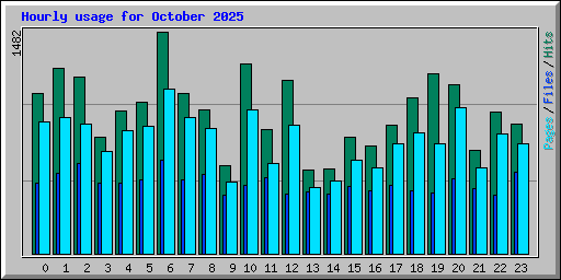 Hourly usage for October 2025