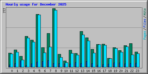 Hourly usage for December 2025