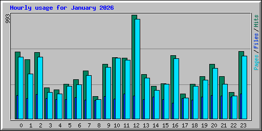 Hourly usage for January 2026
