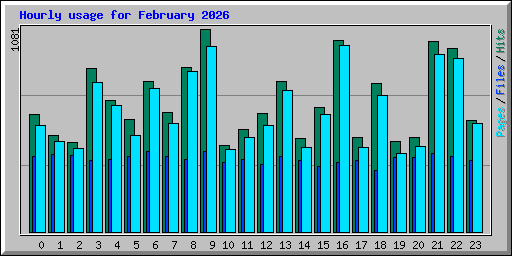 Hourly usage for February 2026