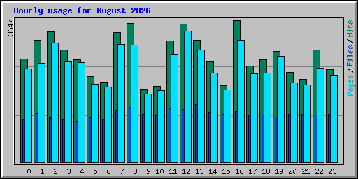 Hourly usage for August 2026