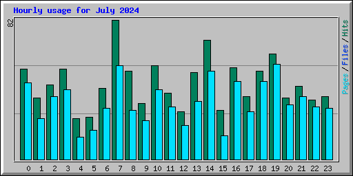 Hourly usage for July 2024