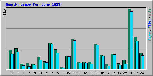 Hourly usage for June 2025