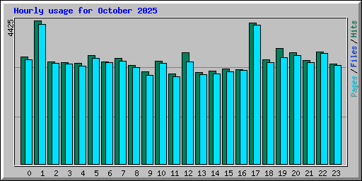 Hourly usage for October 2025