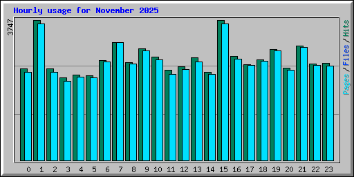 Hourly usage for November 2025