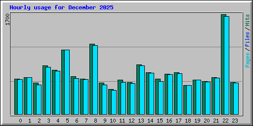 Hourly usage for December 2025