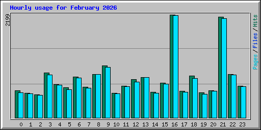 Hourly usage for February 2026