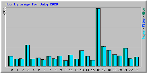 Hourly usage for July 2026