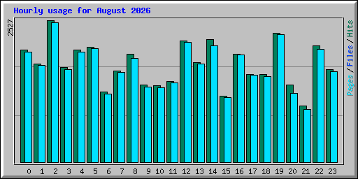 Hourly usage for August 2026